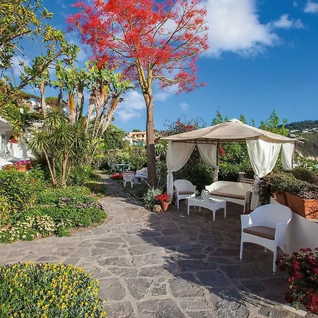 Capizzo Forio di Ischia